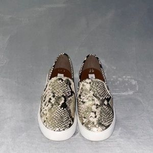 Steve Madden gold snake print slip on sneakers